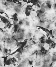 Malla "Osh Kosh" - Batik blanco y negro con tiburones - comprar online