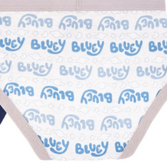 Slips "Bluey" - Pack x 5 unidades - Little Boy