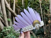 Lila Boho Feathers Crown