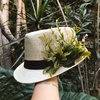Panama Wild Hat