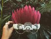 Boho Feathers Crown