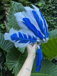 Huge Cacique Azul