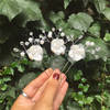 Shiny Flower Clips