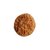 zoom de um biscoito de aveia no formato redondo