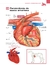 ATLAS EDUCACIONAL PARA TUTORES DE PET CIRURGIA - online store