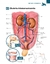 ATLAS EDUCACIONAL PARA TUTORES DE PET CIRURGIA - MedVet Livros