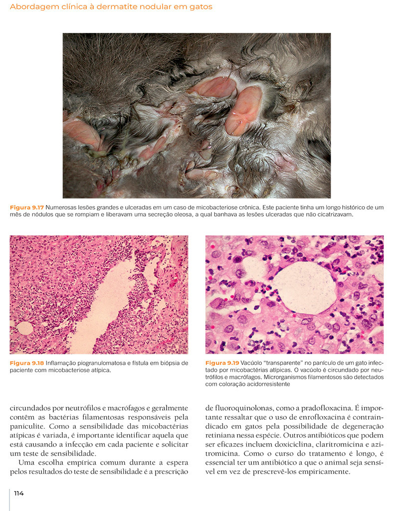 PDF) TDE -Teoria da Degeneração das Espécies