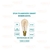 Lâmpada Filamento St64 Dimerizavel Smart 1800k a 2400k Wifi Alexa - comprar online
