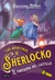 EL FANTASMA DEL CASTILLO SHERLOCKO