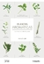 PLANTAS AROMATICAS