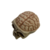 Caveira Decorativa Crânio Cérebro | Decoração Skull - comprar online
