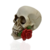 Caveira Decorativa Crânio Rosa | Decoração Skull