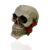 Caveira Decorativa Crânio Rosas | Decoração Skull - comprar online