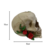 Caveira Decorativa Crânio Rosas | Decoração Skull na internet