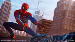 Spiderman Game Of The Year Edition en internet