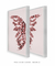 Conjunto 2 Quadros Asas de Borboletas Butterfly Wings - Quadros para Decoração - Empório dos Quadros