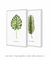 Conjunto 2 Quadros Decorativos Folhas verdes (C/ Nome Científico) - loja online