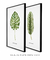 Conjunto 2 Quadros Decorativos Folhas verdes (C/ Nome Científico) - Quadros para Decoração - Empório dos Quadros