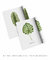 Conjunto 2 Quadros Decorativos Folhas verdes (C/ Nome Científico) - comprar online