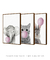 Conjunto 3 Quadros Animais com Chiclete - loja online