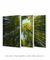 Conjunto 3 Quadros "Bamboo Forest" - Quadros para Decoração - Empório dos Quadros
