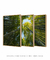 Conjunto 3 Quadros "Bamboo Forest" - loja online