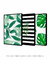 Conjunto 3 Quadros Folhas Verdes Tropicais - loja online