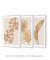 Conjunto 3 Quadros Golden Flowers - loja online