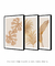 Conjunto 3 Quadros Golden Flowers - comprar online