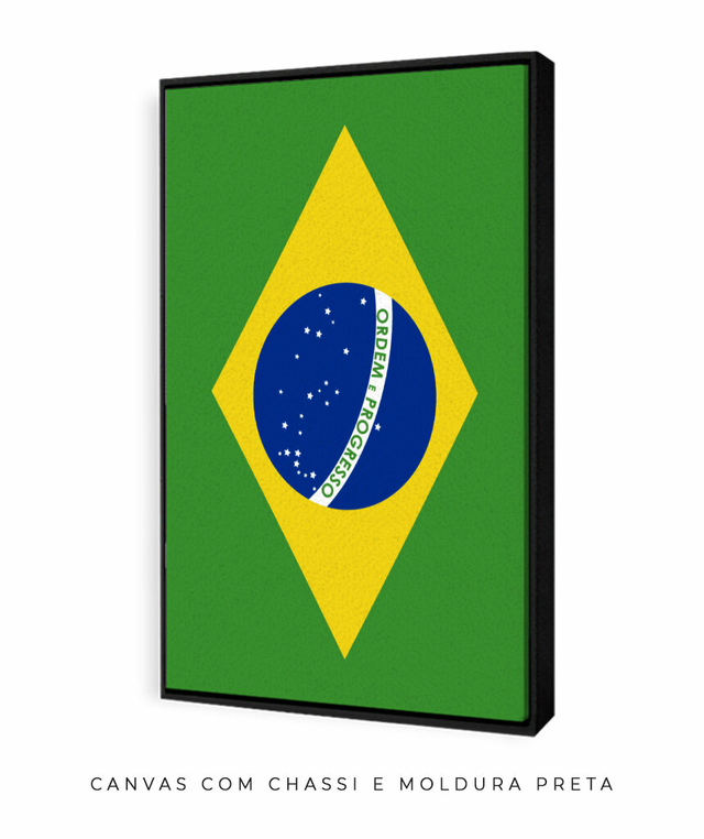 Bandeira do Brasil aesthetic Brazil  Bandeira do brasil, Bandeira do brasil  foto, Gato do espaço