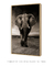 Quadro Elefante - comprar online
