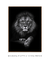 Quadro "Lion King" - comprar online