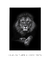 Quadro "Lion King" - comprar online
