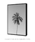 Quadro "Palmeira P&B" - comprar online