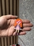 Aplique Acrilico Barbie e Amigas Curvado - 1 Unidade 7cm X 3,5cm - loja online
