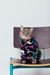 Pet - Pijama Dog and Cat na internet