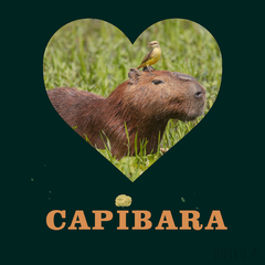 Capibara - Unisex - tienda online