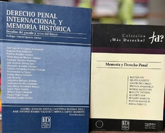 Anitua, I. y otros: Derecho penal internacional y memoria histórica. Desafíos del pasado y retos del futuro. // Eiroa, P.: Memoria y derecho penal. en internet