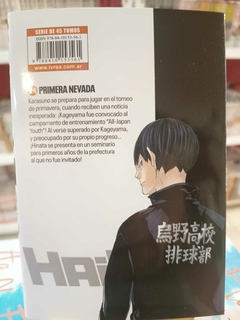 Haikyu!! Tomo 24 en internet