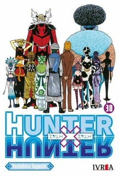 Hunter X Hunter Tomo 30