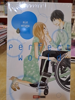 Perfect World Tomo 4 - comprar online