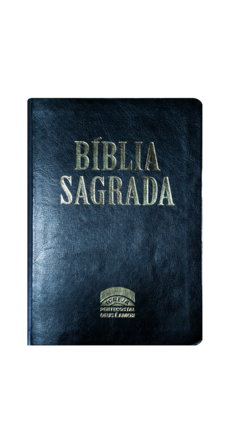 BIBLIA IPDA