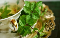 Mentha spicata ( 100 semillas )