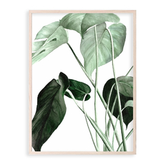 Match hojas verdes - Decohaus