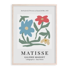Matisse Garden