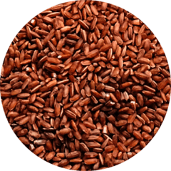 Short-grain Red Rice - High Land Rice - Arroz de Altitude