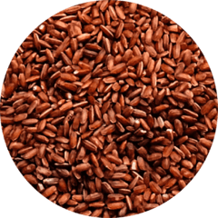 Short-grain Red Rice - Highland Rice - buy online