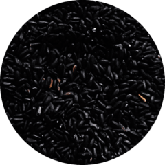 Black Rice - High Land Rice - Arroz de Altitude