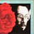 LP - Elvis Costello - Mighty like a rose