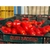 Tomate Italiano Pomodoro Gustarosso 400g Pack X12 Unidades - comprar online